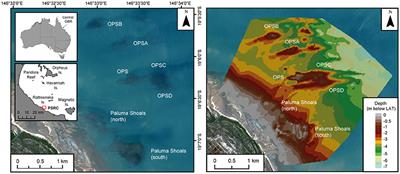 Nearshore Turbid-Zone Corals Exhibit High Bleaching Tolerance on the Great Barrier Reef Following the 2016 Ocean Warming Event